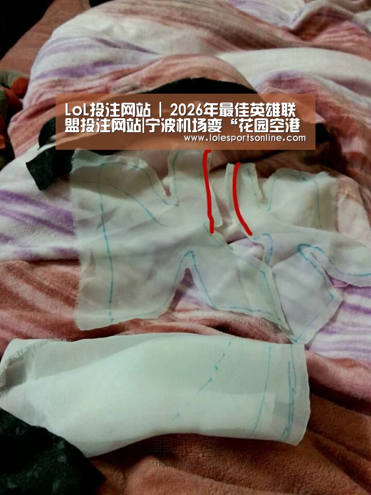 LoL投注网站 | 2026年最佳英雄联盟投注网站|宁波机场变“花园空港” 投资9000万元(图1) 2026年最佳英雄联盟投注网站