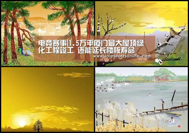 电竞赛事|1.5万平厦门最大屋顶绿化工程竣工 还能延长楼板寿命(图1) 电竞赛事